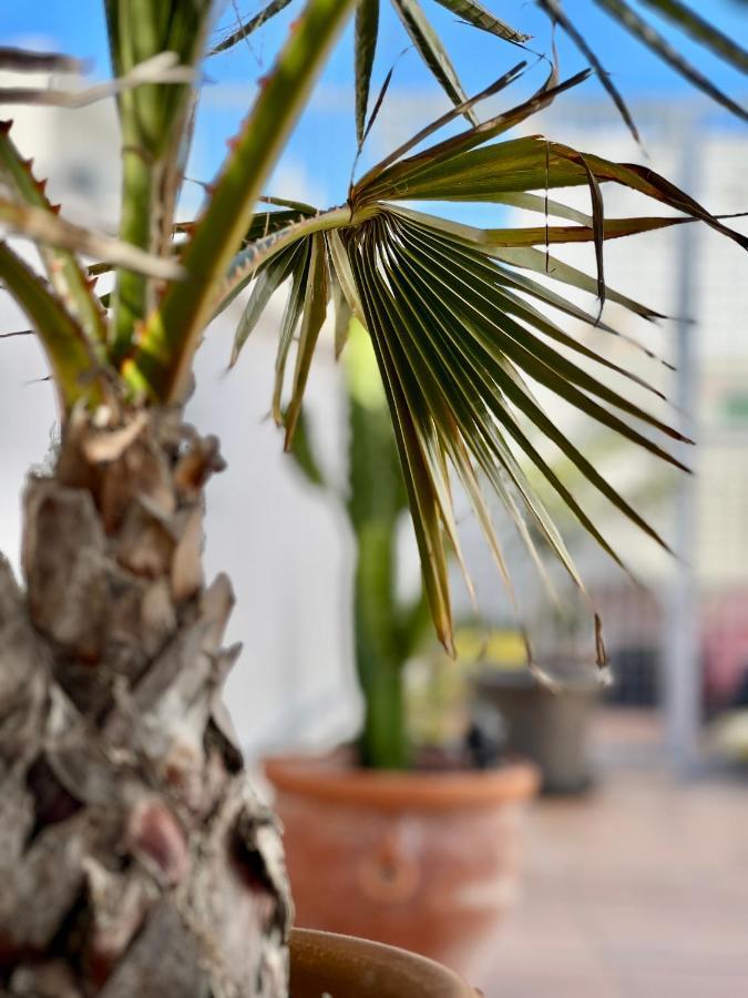 La Terraza De Porvenir 10 - Jerez De La Frontera Apartment Ngoại thất bức ảnh