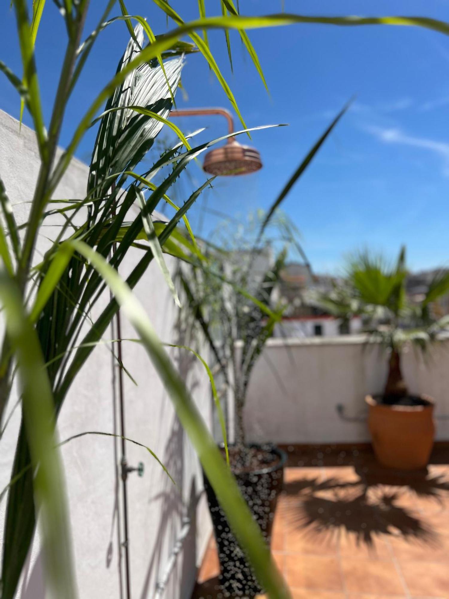 La Terraza De Porvenir 10 - Jerez De La Frontera Apartment Ngoại thất bức ảnh